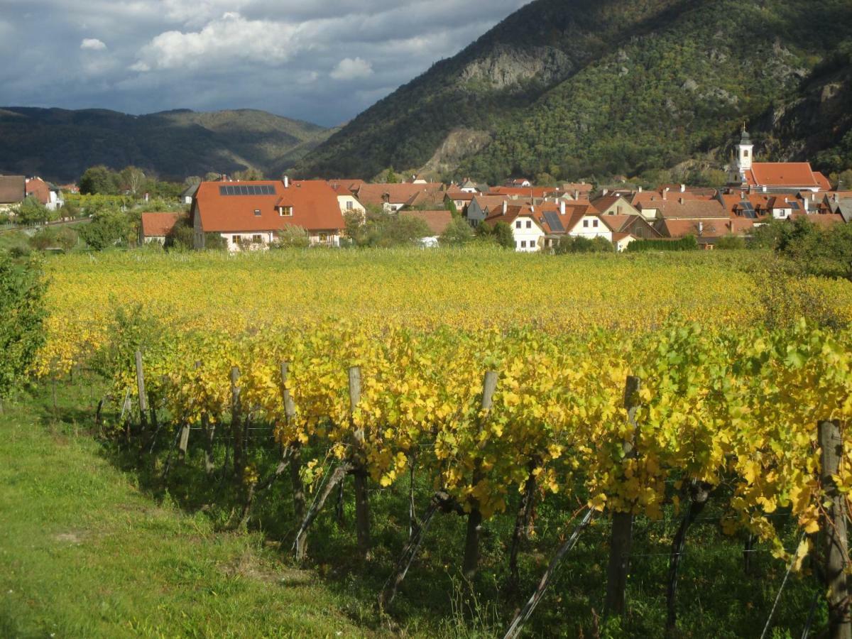 GästeHaus Rudolf u. Sandra DENK Wösendorf Exteriör bild