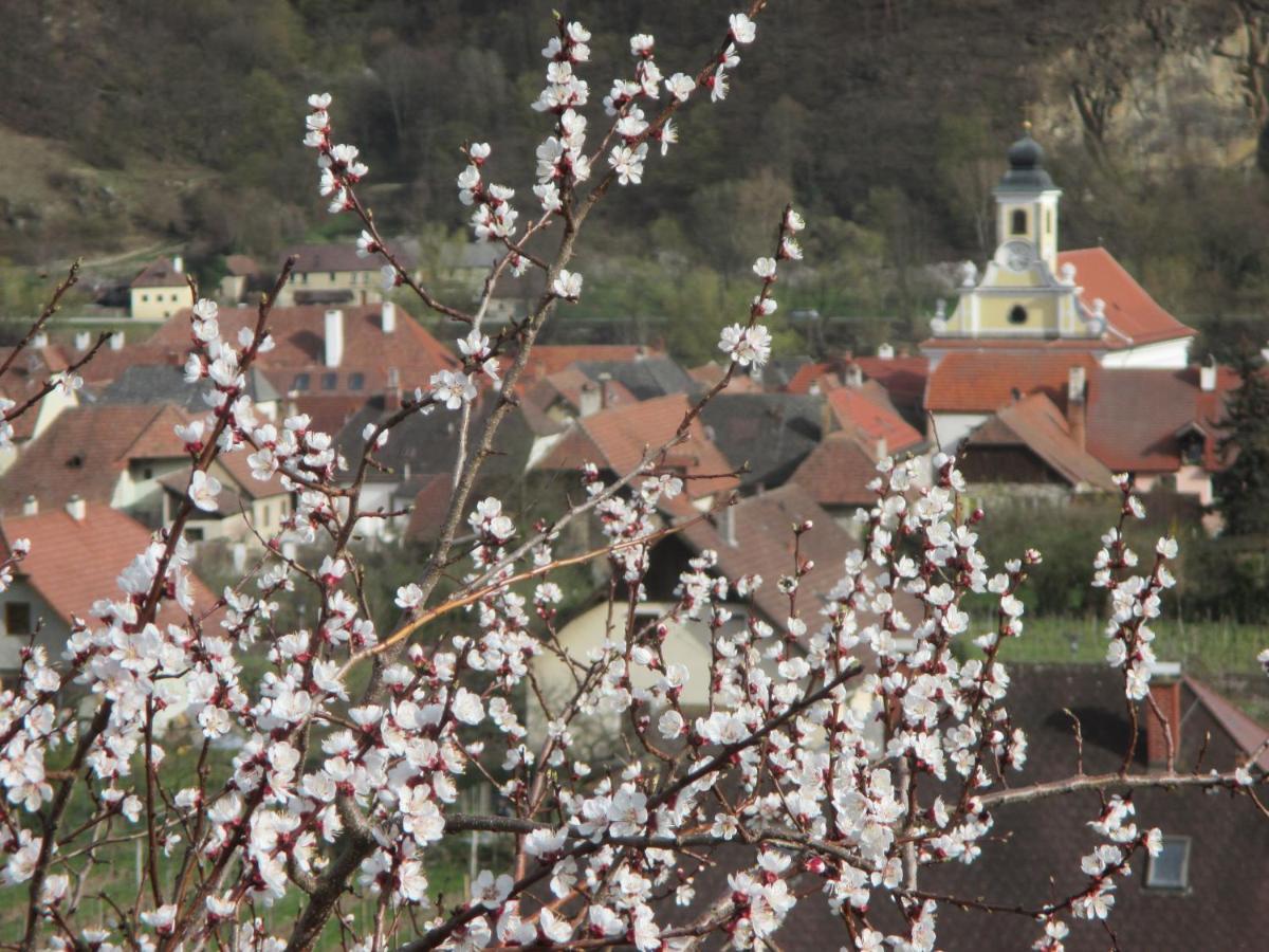 GästeHaus Rudolf u. Sandra DENK Wösendorf Exteriör bild